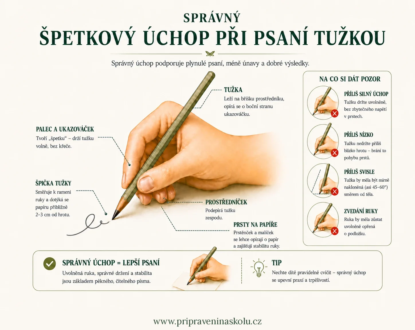 Infografika: správný špetkový úchop tužky – tužka leží na prostředníku, palec a ukazováček ji volně drží; časté chyby: příliš silný úchop, držení příliš nízko, tužka příliš svisle, zvedání ruky